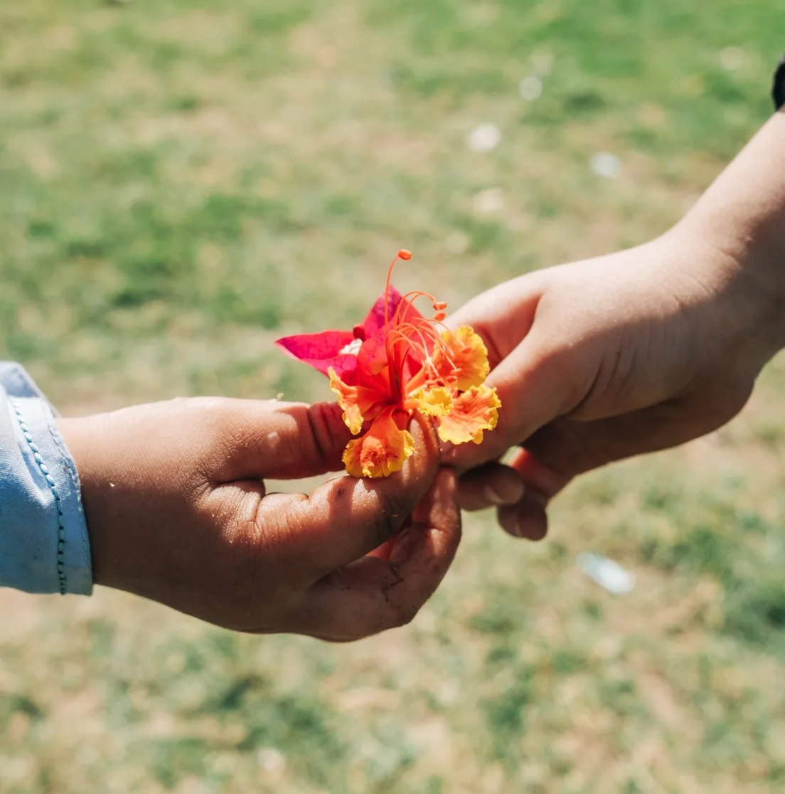 Two children exchanging a bright flower by hand